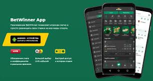 BetWinner Cricket Betting Your Ultimate Guide to Winning Bets BetWinner Cricket Betting Your Ultimate Guide to Winning Bets