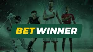 Download the BetWinner Application Your Ultimate Guide